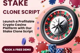  Stake Clone Script: The Ultimate Solution for Aspiring Gaming Entrepreneur