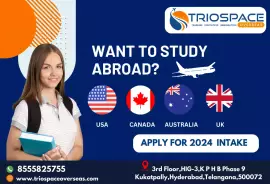 Accommodation Services, Abroad Education Consultants - TrioSpace Overseas. 