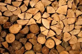 Experience Winter Bliss with Ottawa Firewood in Canada