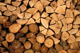 Stay Toasty with Our Premium Ottawa Firewood