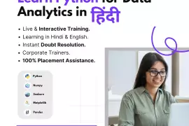  Learn Data Science in Hindi from industry experts