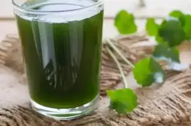 Experience the Miraculous Benefits of Gotu Kola Tea