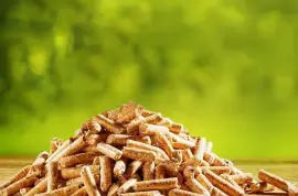 Biomass Pellets Manufacturer and Supplier | Briquettes Industry in India