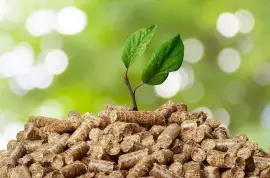 Biomass Pellets Manufacturer and Supplier | Briquettes Industry in India