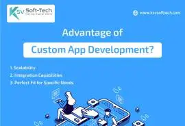 Best Software Development Company in Indore