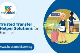 Trusted Transfer Helper Solutions for Families in Singapore