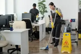 Best, Top Cleaning Services in Vancouver - Vancouver