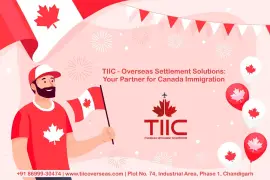 TIIC - Overseas Settlement Solutions: Best Immigration Office in Chandigarh