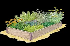 Programme Conception Potager | Logiciel Potager