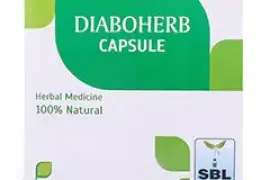 Diabetes Weakness Herbal Medicine: Diaboherb Capsule