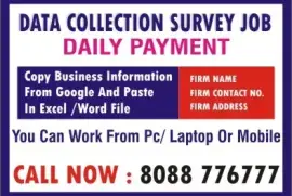 Work From Home Jobs | 15 best Data entry Jobs |  4052 | Make Daily income 